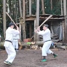 Ken Jutsu Aiki-Ken